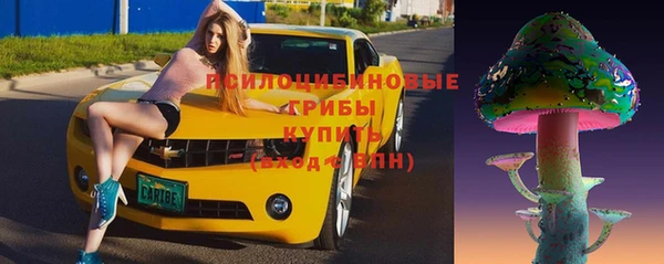 бошки Беломорск