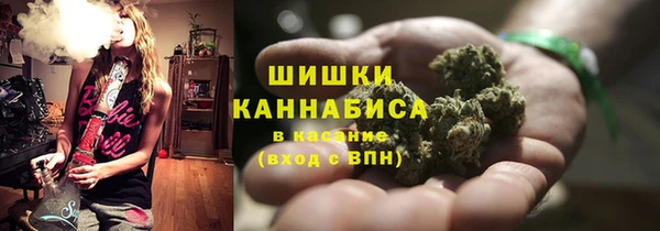 гидра Белоозёрский