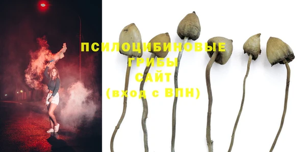 гидра Белоозёрский