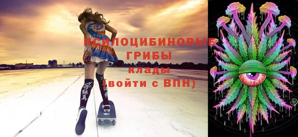 спиды Белокуриха