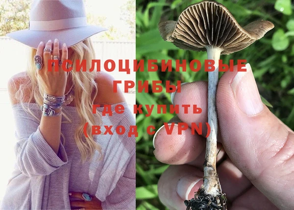 спиды Белокуриха