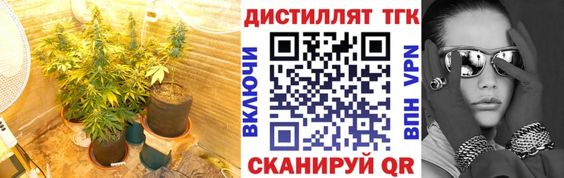 Дистиллят ТГК вейп с тгк  сайты даркнета клад  hydra ТОР  Болохово  где продают  
