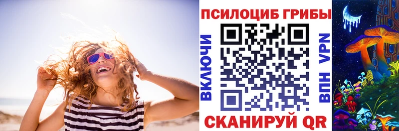 закладки  Болохово  блэк спрут ссылка  Галлюциногенные грибы мицелий 
